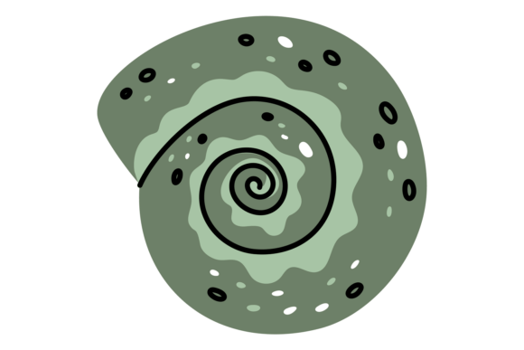 Download Green Tropical Spiral Seashell. Mollusk - Spiral Collection