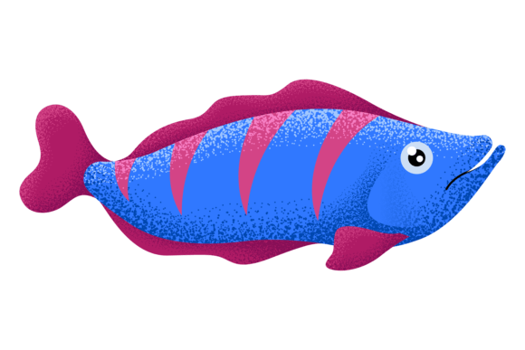 Download Aquarium Fish. Underwater Animal. Colorf - Animal Collection